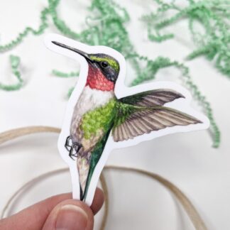 Hummingbird Vinyl Waterproof Die Cut Sticker - 2.75 x 3 inch