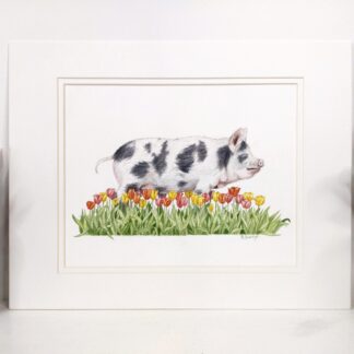 Happy as a Pig in Tulips- 8x10 inch Painting (Matted to fit 11x14 inch frame)