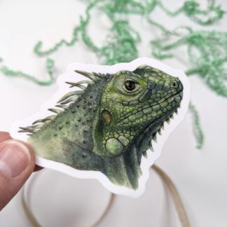 Green Iguana Vinyl Waterproof Die Cut Sticker- 2.5 x 3 inch