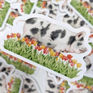 *B-Grade* Pig Vinyl Waterproof Sticker : 1.75 x 3"