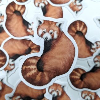 *B-Grade* Red Panda Vinyl Waterproof Sticker : 2.5 x 3"