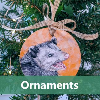 Ornaments