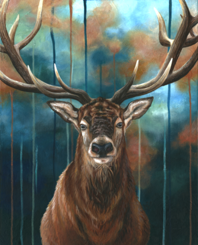 Elk 