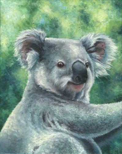 Koala 