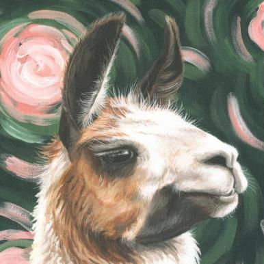 Llama