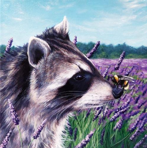 Lavender Raccoon 