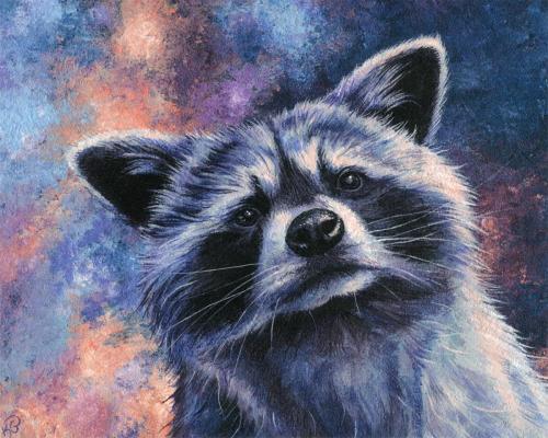 Space Raccoon