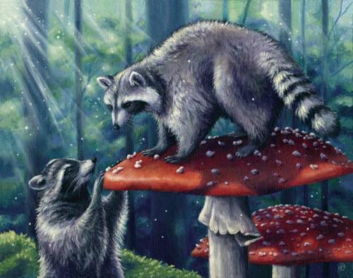 Raccoons of the Mushroom Forest 