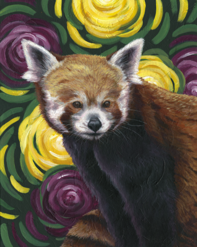 Red Panda